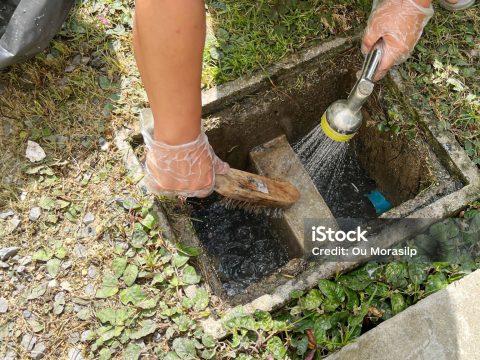 grease trap maintenance