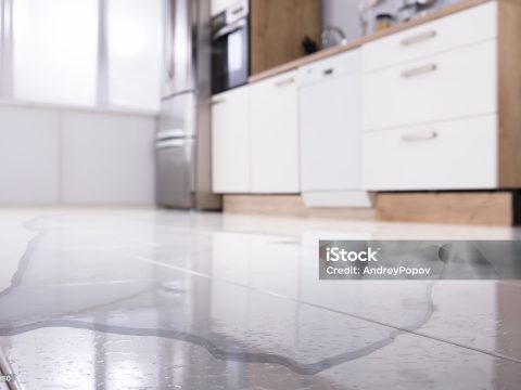 kitchen leaks